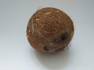 как разбить кокос дома