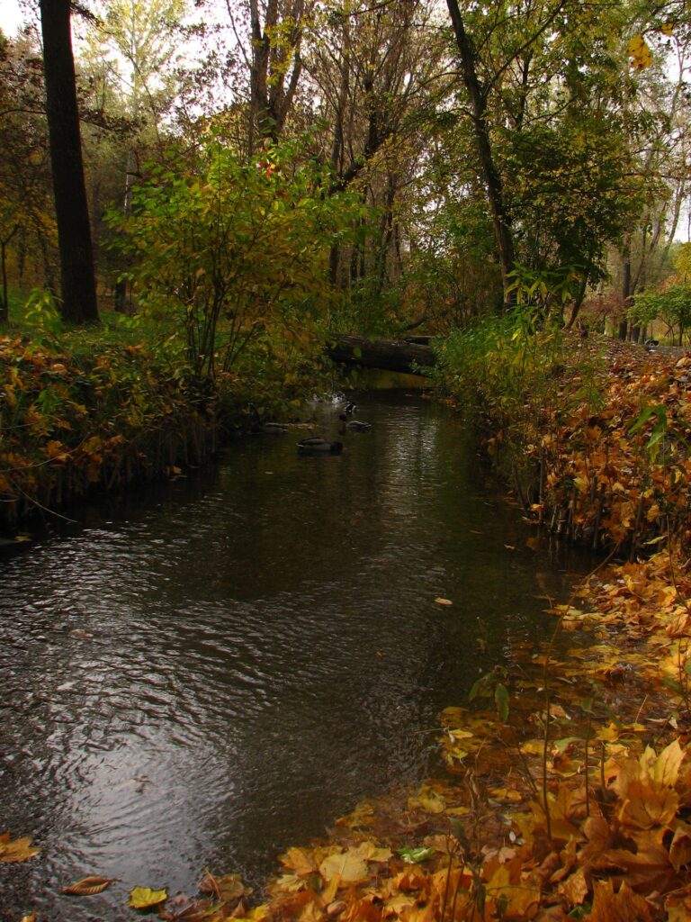Саржин Яр фото